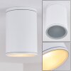 Agua Plafondlamp Wit, 1-licht