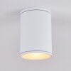 Agua Plafondlamp Wit, 1-licht