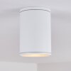 Agua Plafondlamp Wit, 1-licht