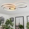 Olok Plafondlamp LED Zilver, Wit, 1-licht, Afstandsbediening