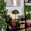 Vivian Tafellamp Groen, 1-licht