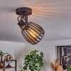Pocho Plafondlamp Messing, Zwart, 1-licht
