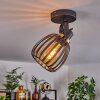 Pocho Plafondlamp Messing, Zwart, 1-licht