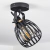 Pocho Plafondlamp Messing, Zwart, 1-licht