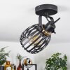 Pocho Plafondlamp Messing, Zwart, 1-licht