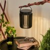 Rossina Solarlamp LED Zwart, 1-licht