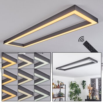 Dubuisson Plafondlamp LED Antraciet, 1-licht, Afstandsbediening