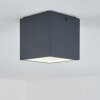 Spidern Buitenshuis plafond verlichting LED Antraciet, Wit, 1-licht