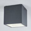 Spidern Buitenshuis plafond verlichting LED Antraciet, Wit, 1-licht