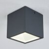 Spidern Buitenshuis plafond verlichting LED Antraciet, Wit, 1-licht