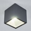 Spidern Buitenshuis plafond verlichting LED Antraciet, Wit, 1-licht