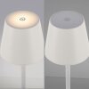 Leuchten-Direkt EURIA Tafellamp LED Wit, 1-licht