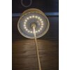 Lutec COCKTAIL Tafellamp LED Goud, 1-licht