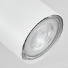 Javel Plafondlamp Wit, 1-licht