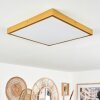 Broglen Plafondpaneel LED Goud, 1-licht