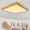 Broglen Plafondpaneel LED Goud, 1-licht