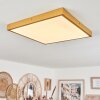 Broglen Plafondpaneel LED Goud, 1-licht