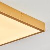 Broglen Plafondpaneel LED Goud, 1-licht
