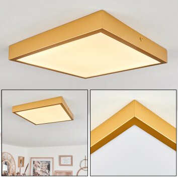Broglen Plafondpaneel LED Goud, 1-licht