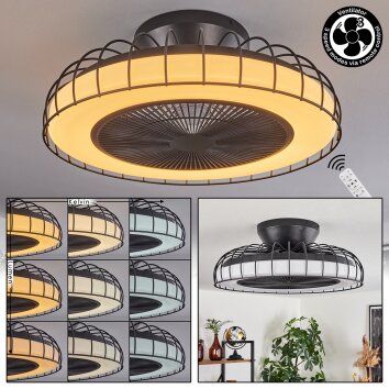 Burmeister plafondventilator LED Zwart, 1-licht, Afstandsbediening