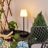 Maza Tafellamp voor buiten LED Zwart, 1-licht