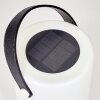 Acebal Solarlamp LED Zwart, Wit, 1-licht, Kleurwisselaar