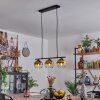 Koyoto Hanglamp Glas 15 cm Goud, Duidelijk, 3-lichts