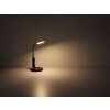Globo FRUGGY Tafellamp LED Chroom, Zwart, 1-licht
