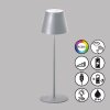 FHL easy Cosenza Tafellamp LED Zilver, 1-licht, Kleurwisselaar