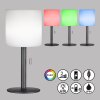 FHL easy Lesina Tafellamp LED Antraciet, 1-licht, Kleurwisselaar