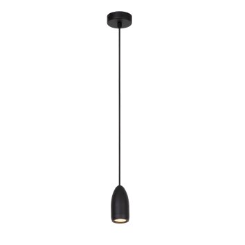 Lucide EVORA Hanglamp Zwart, 1-licht