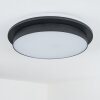 Caucete Buitenshuis plafond verlichting LED Zwart, 1-licht