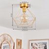 Koulamon Plafondlamp Messing, 1-licht