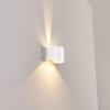 Tamarin Buiten muurverlichting LED Wit, 2-lichts