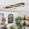 Cajean Plafondlamp LED Zwart, 2-lichts