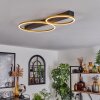 Cajean Plafondlamp LED Zwart, 2-lichts