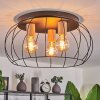 Toklolo Plafondlamp Natuurlijke kleuren, 3-lichts