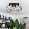 Toklolo Plafondlamp Natuurlijke kleuren, 3-lichts