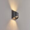 Suriyaco Buiten muurverlichting LED Zwart, 2-lichts