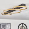 Cajean Plafondlamp LED Zwart, 3-lichts