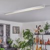 Dubuisson Plafondlamp LED Aluminium, 1-licht, Afstandsbediening
