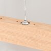 Mixto Hanglamp LED Natuurlijke kleuren, 1-licht