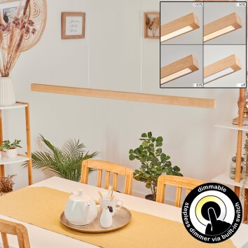 Mixto Hanglamp LED Natuurlijke kleuren, 1-licht