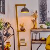 Baval Staande lamp Natuurlijke kleuren, 1-licht