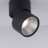 Paul Neuhaus PURE-NOLA Muurlamp LED Zwart, 1-licht