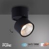 Paul Neuhaus PURE-NOLA Muurlamp LED Zwart, 1-licht