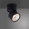 Paul Neuhaus PURE-NOLA Muurlamp LED Zwart, 1-licht