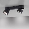 Paul Neuhaus PURE-NOLA Plafondlamp LED Zwart, 2-lichts
