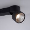 Paul Neuhaus PURE-NOLA Plafondlamp LED Zwart, 2-lichts