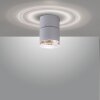 Paul Neuhaus PURE-NOLA Muurlamp LED Wit, 1-licht